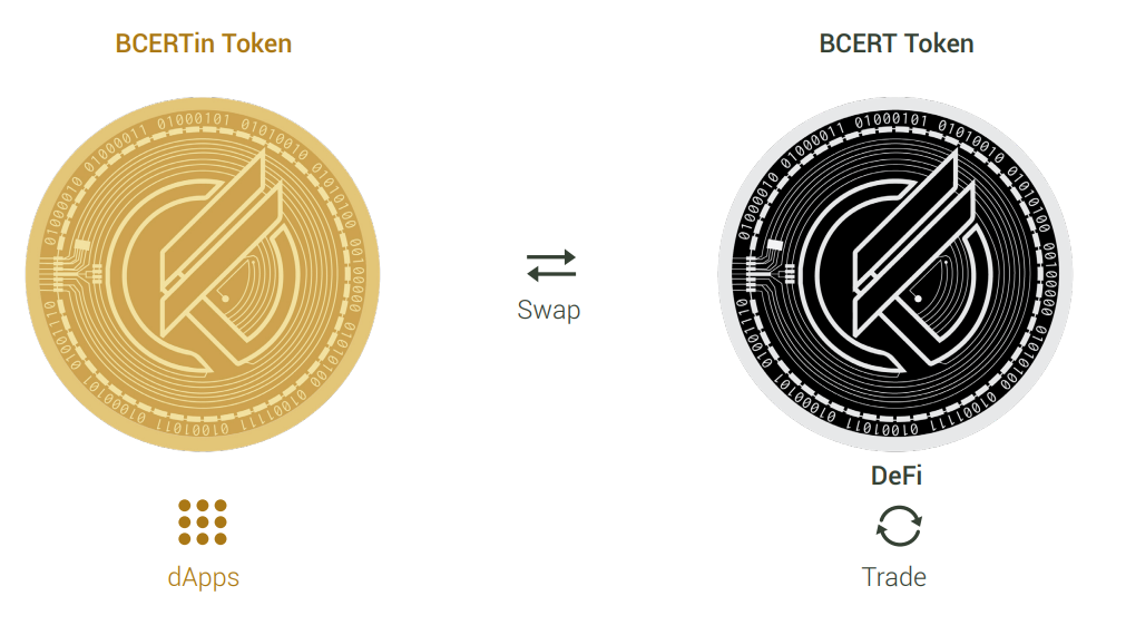 The BCERTin and BCERT Paired Token