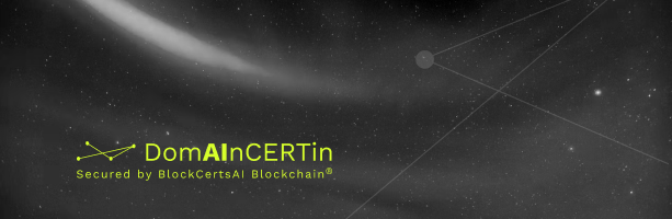 DomainCERTin Banner